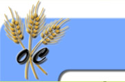 OLTRECENTO Logo Associazione 